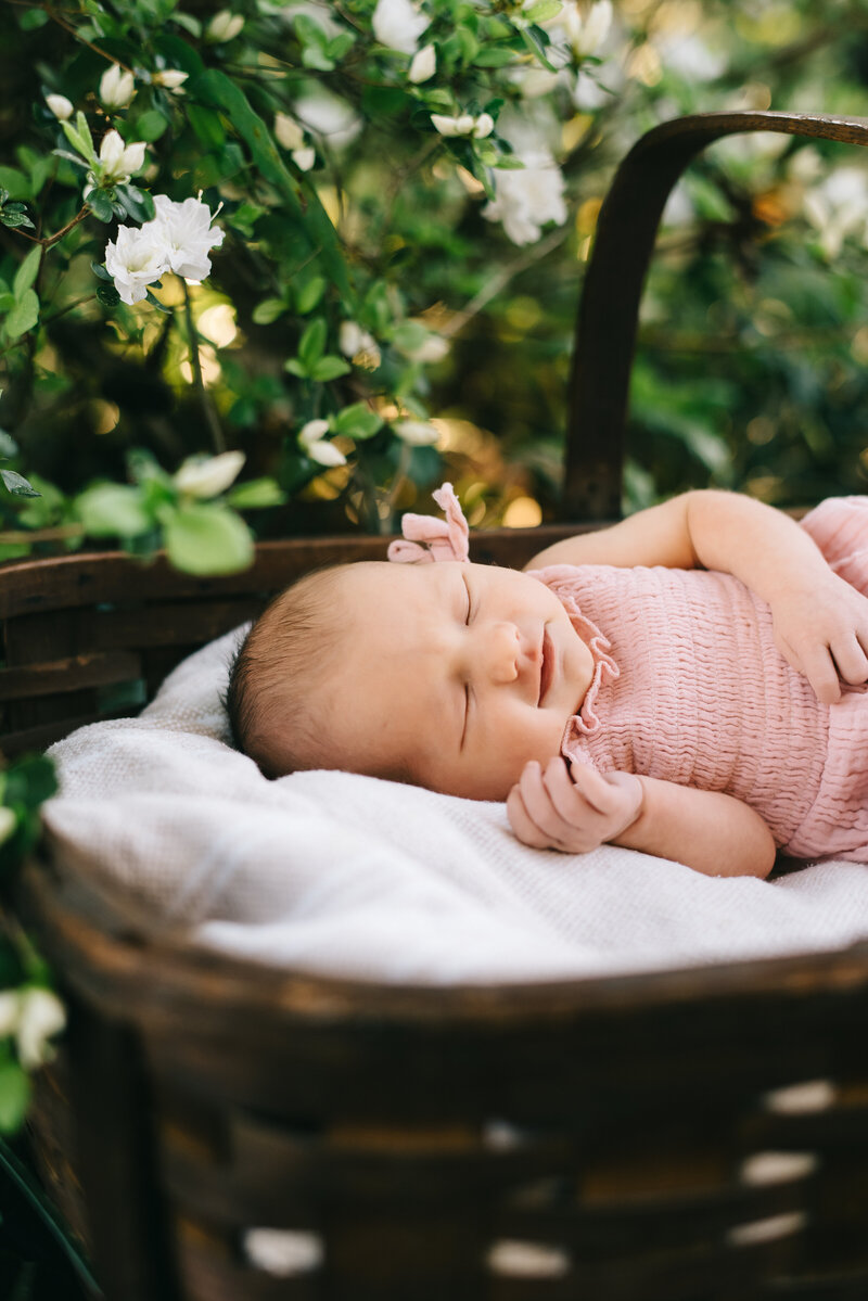 Newborn Photographer Aiken SC Newborn Photography Aiken SC Newborn photographer Augusta GA Newborn Photography Augusta GA Baby