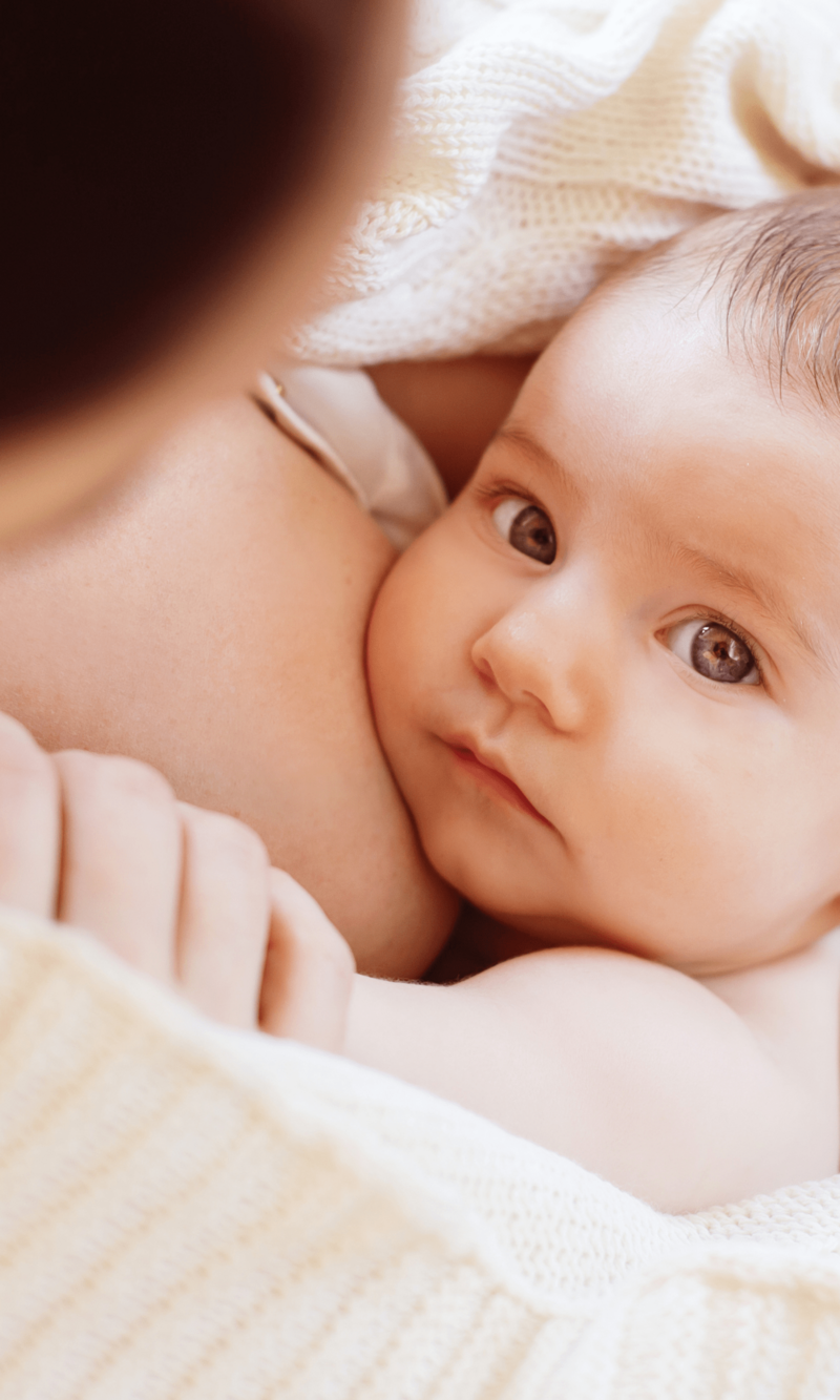 Looking for lactation classes for doulas? Our breastfeeding doula training will provide you with a dona approved  breastfeeding class online to meet the requirement.