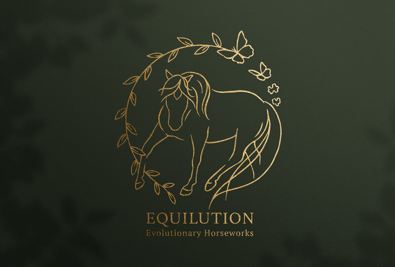 Equilution mockup