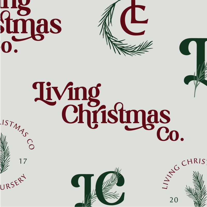 Living Christmas Working Logo-10