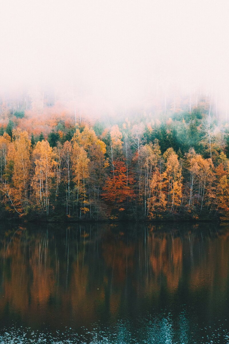 therapy reiki and hypnotherapy in new york