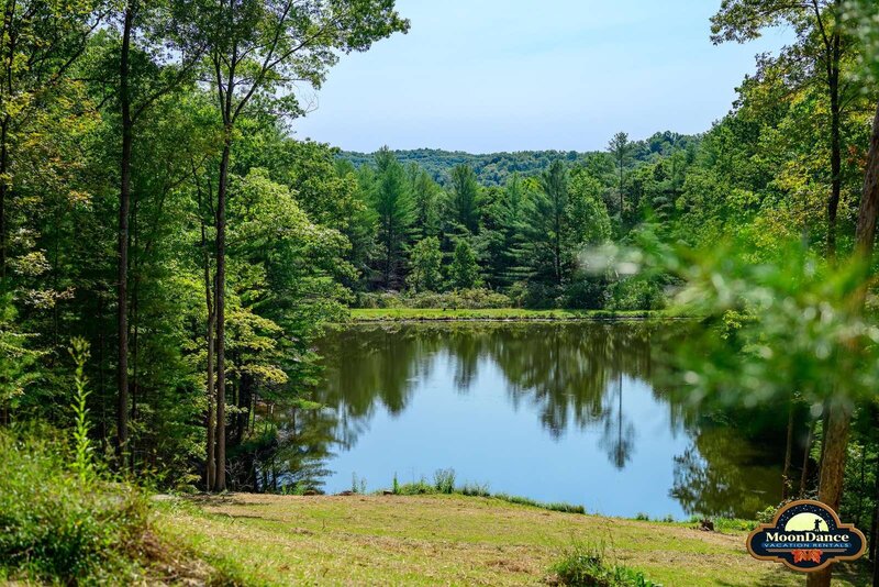 Copy of i000272_preview