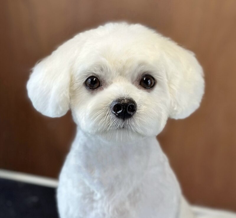 5E15CA70-D6C6-4C30-8A75-CC61F4B4FEA7_1_201_a