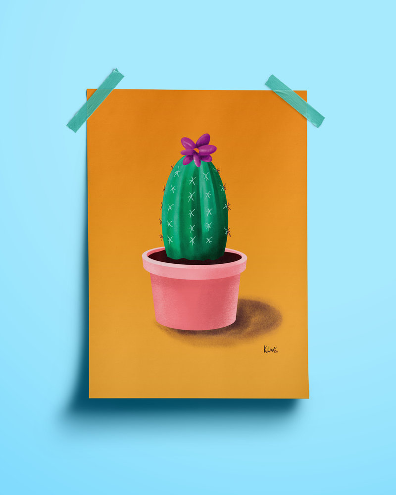 cactus2_insta