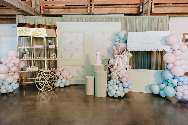 First Birthday Party Decor in Cloverdale BC