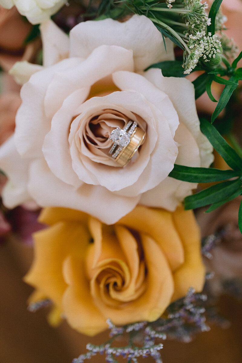 the-olana-wedding2