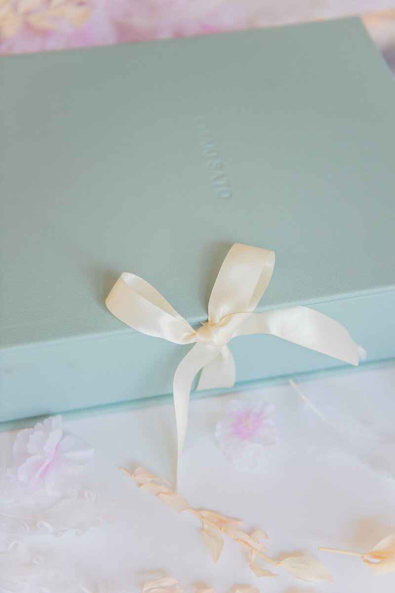 Blue portfolio box with a white ribbon