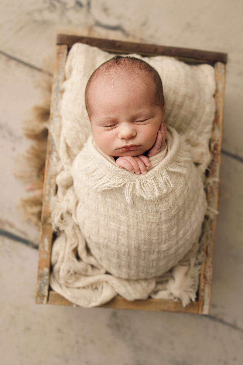 St Paul newborn photographer