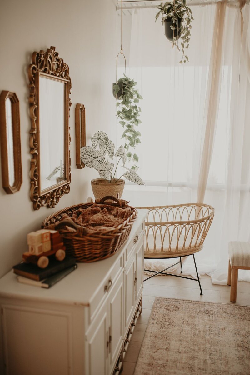 side+view+mirrors+with+bassinet