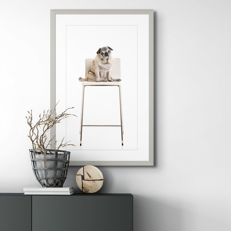 Framed professional dog  portrait on a wall
