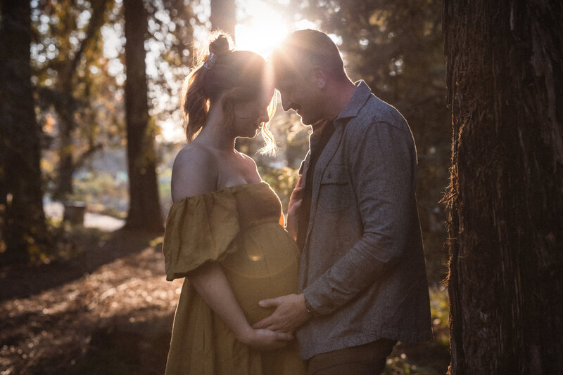 Maternity couple in redwoods