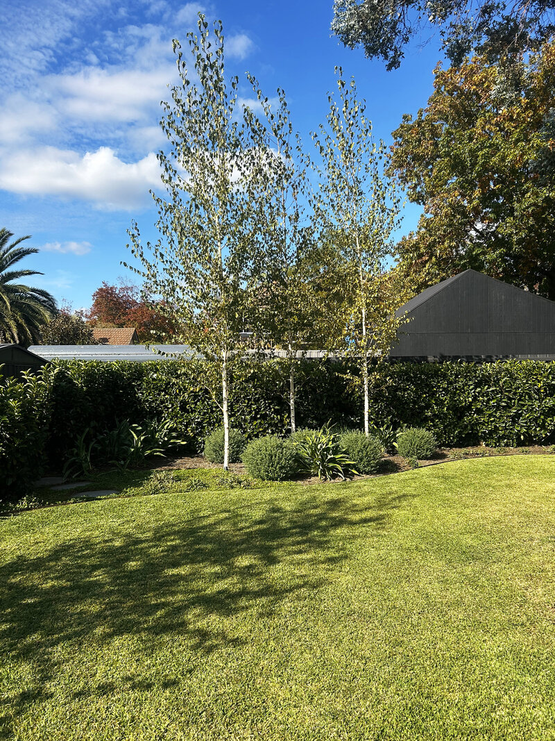 Landscaping_Melbourne_07