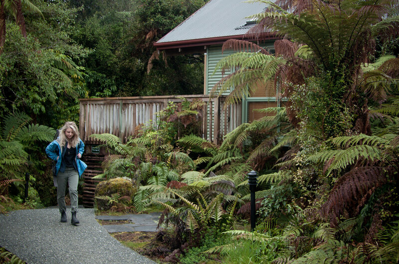 Woman hiker walking amongst ferns