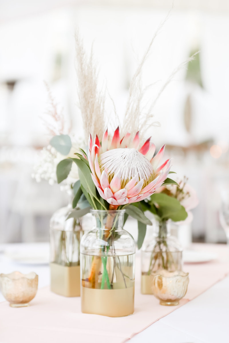 Lifelong_Photography_Studio-583