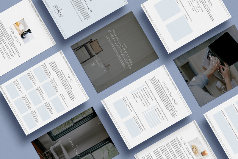 Audience & Offerings PDF Mockup of Workbook