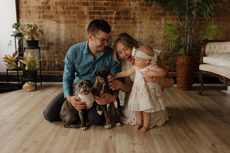 Family with mom, dad, and 1 year old baby pose with their two dogs in this studio style family session in mount horeb, wisconsin