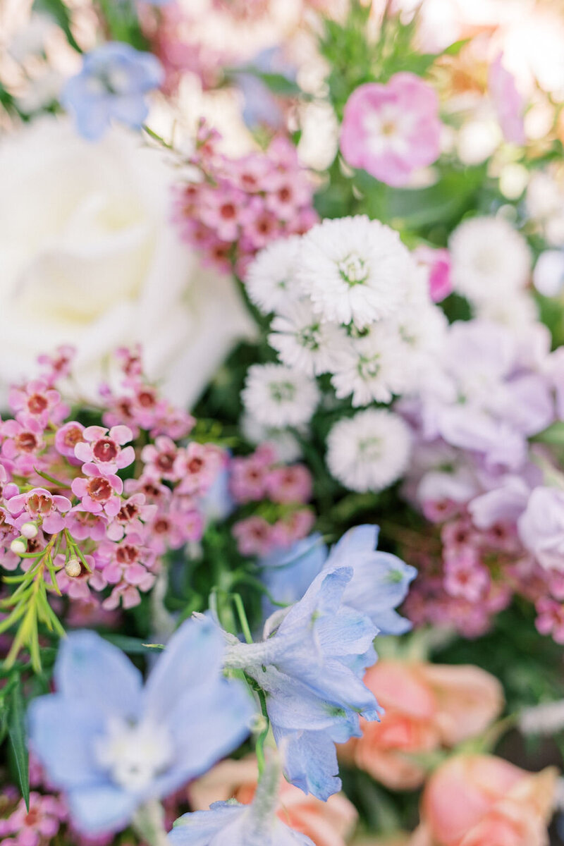 FrancescaDominiquePhotography-55