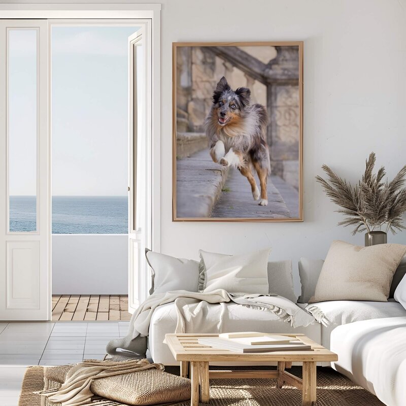 dog photo on a wall