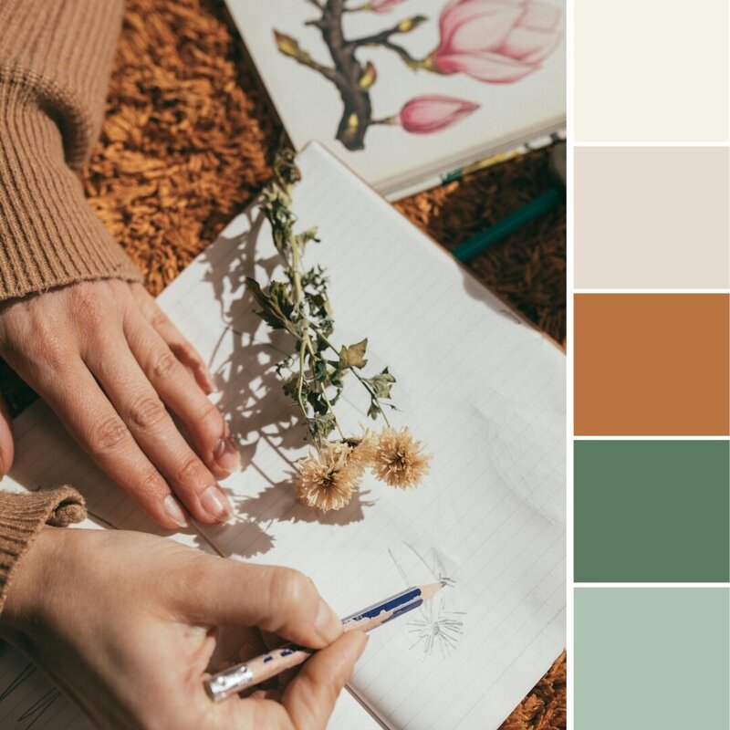Beautiful branding and colour palette for a coach