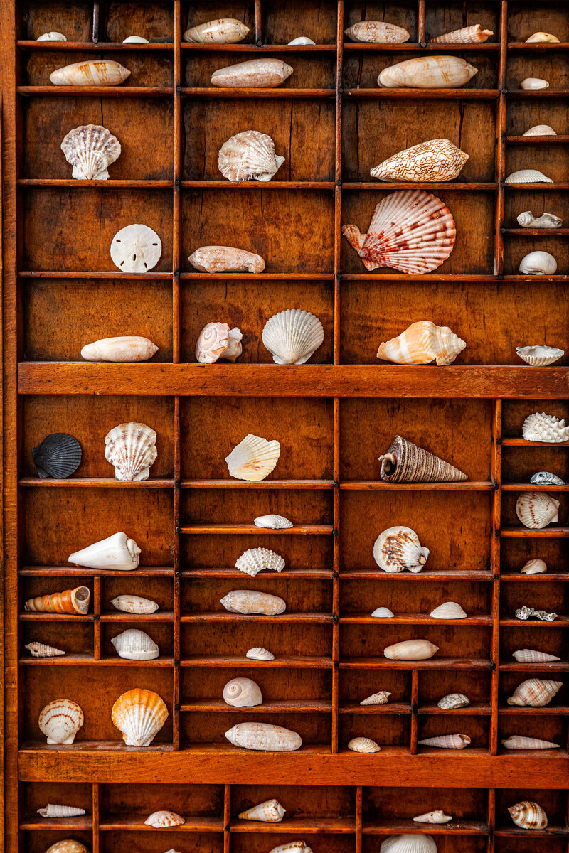 wooden tray of seashells