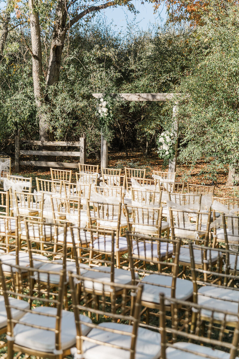 Peter and Shannon - NoVa wedding-21