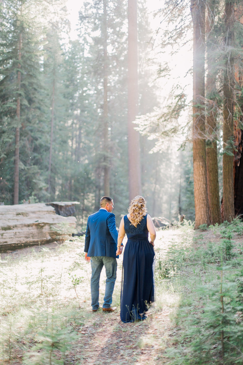 Sequoia Engagement Photos