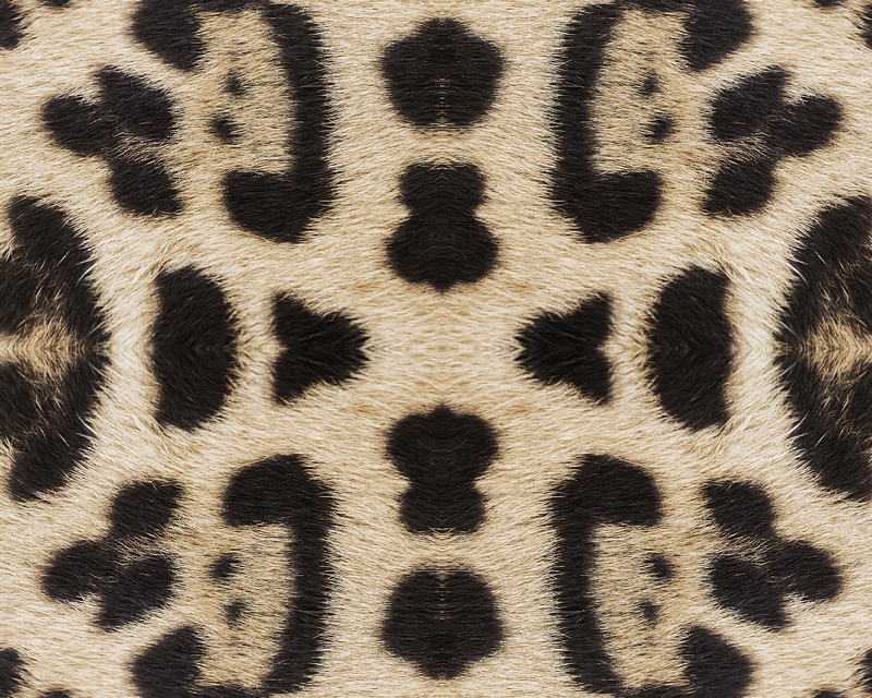 Zoomed up mirror image of a cheetah print