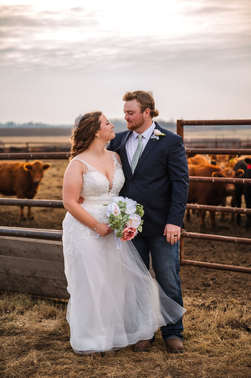 Groom looking at bride with love during wedding day out in the country, cows int he field behind them