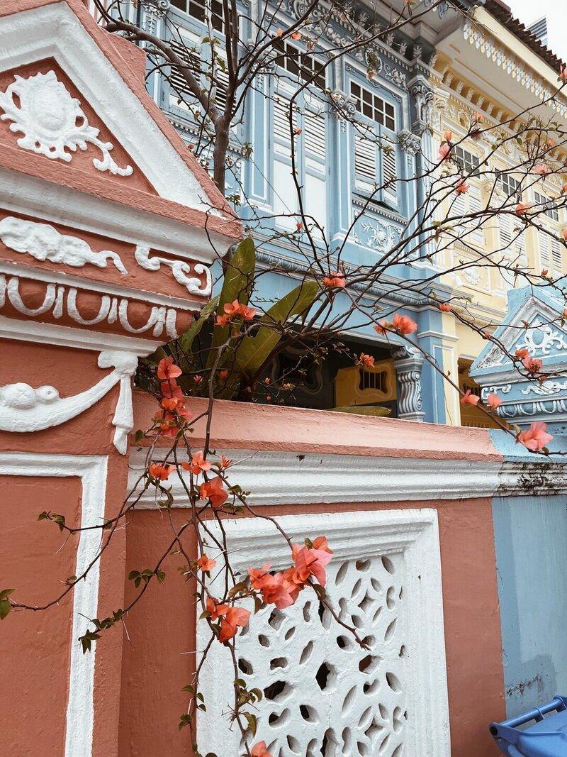 IMG_2029_VSCO