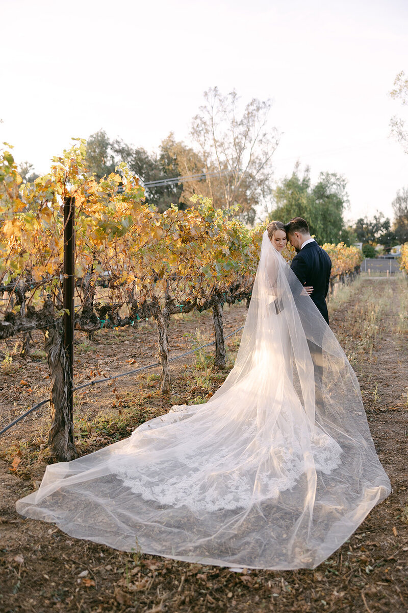 lorimar-winery-wedding-photographer-78