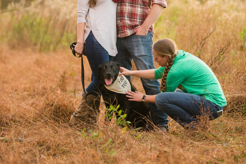 Jen Stitt gently adjusting a bandana on a dog during an engagement session at Valley Forge, capturing a sweet and candid moment that highlights the couple’s love for their furry family member.