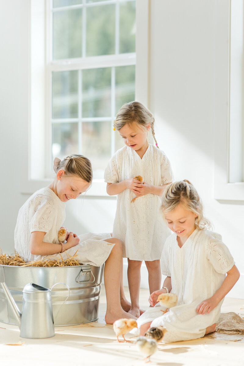 C09A5070-Enhanced-NR