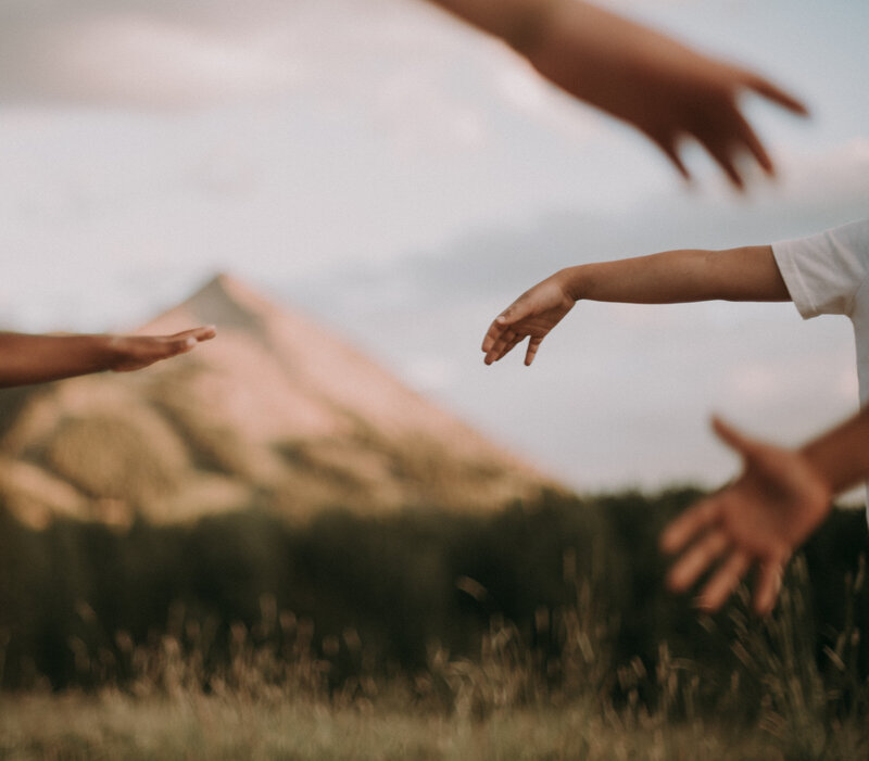 Children's arms and hands stick out randomly with a meadow and mountain in the background.
