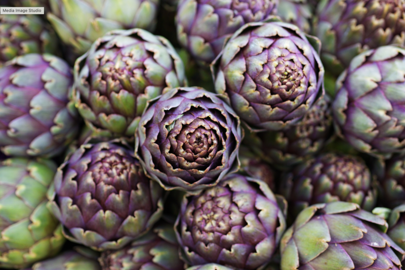 Violette Artischoken