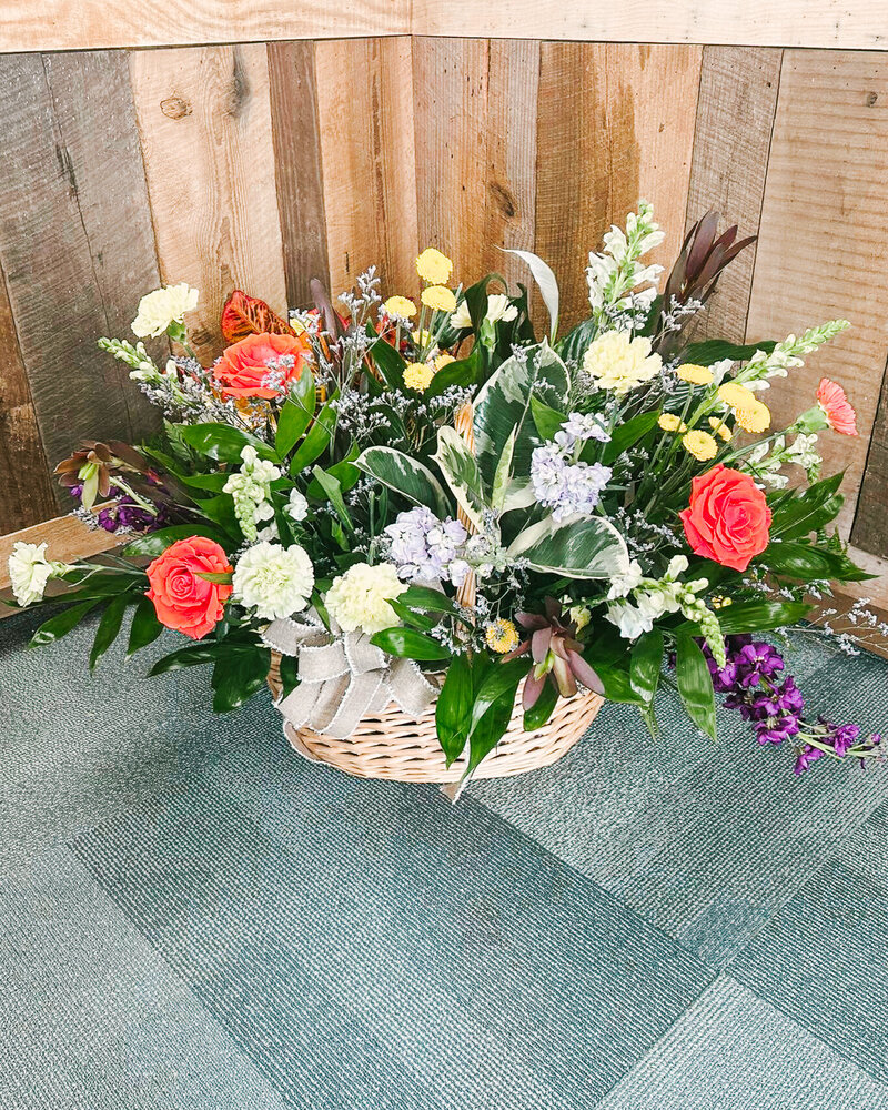 515532911_122116484126899158_4842472267656324966_n