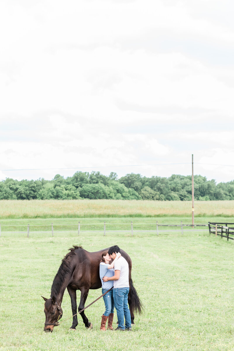SOC-horse-engagement-session-1