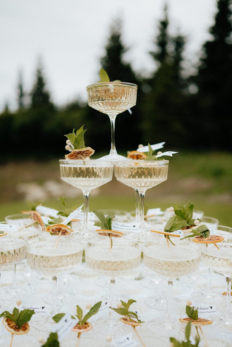 Merrick-Wedding_Homer-Alaska-Wedding_EmeliaKPhotography-12