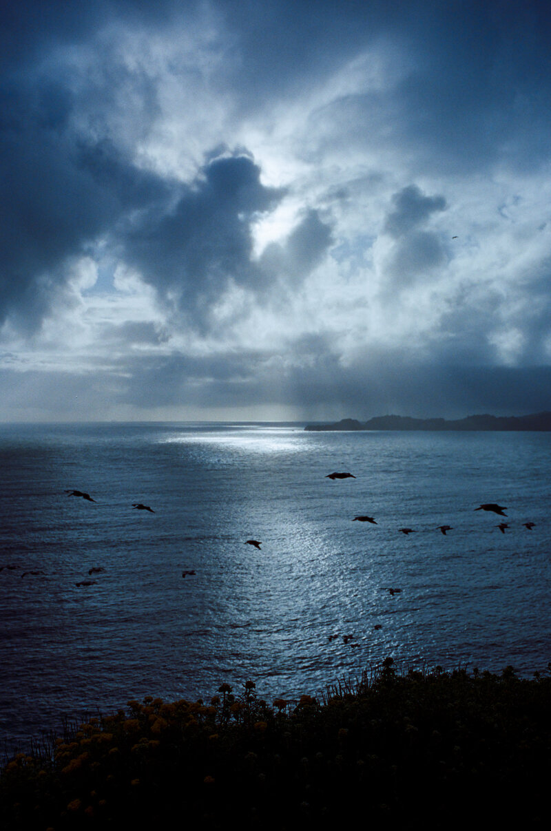 kodak_400_c_41_29438_90447_200323_000271750003