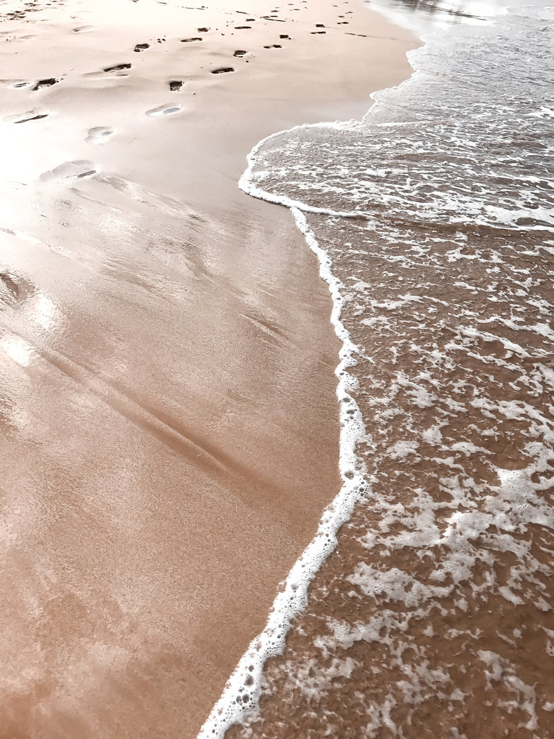 haute-stock-photography-tropical-vibes-final-45