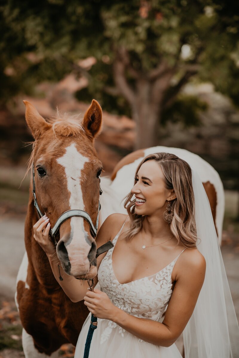 Bride poses for a wedding day portrait in a field on a Brantford, Ontario farm. She is standing beside a brown and white horse, with one hand resting under the horse's chin and the other hand holding the reins. The bride has a big smile and is looking at the horse. Captured by top Ontario wedding photographer and videographer Ashlee Ellison Photos and Films