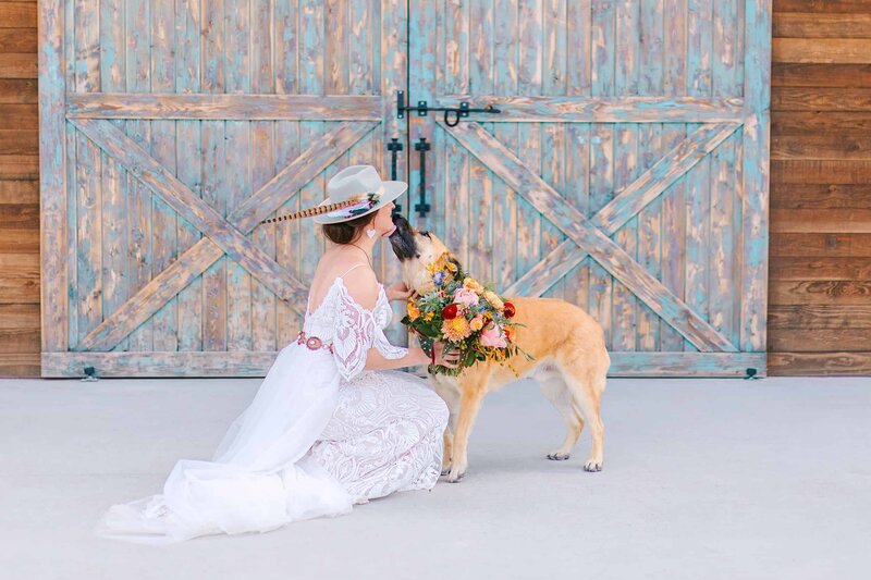 dog-friendly photography