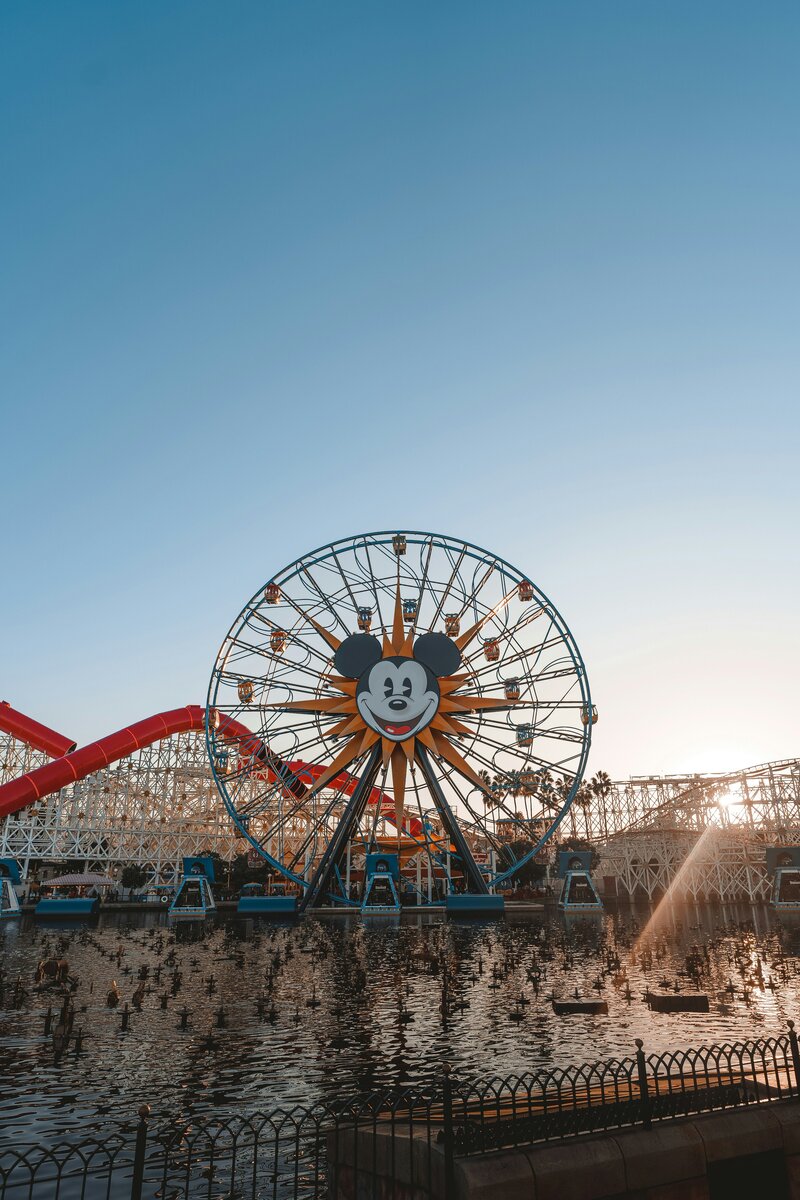 Disney wheel