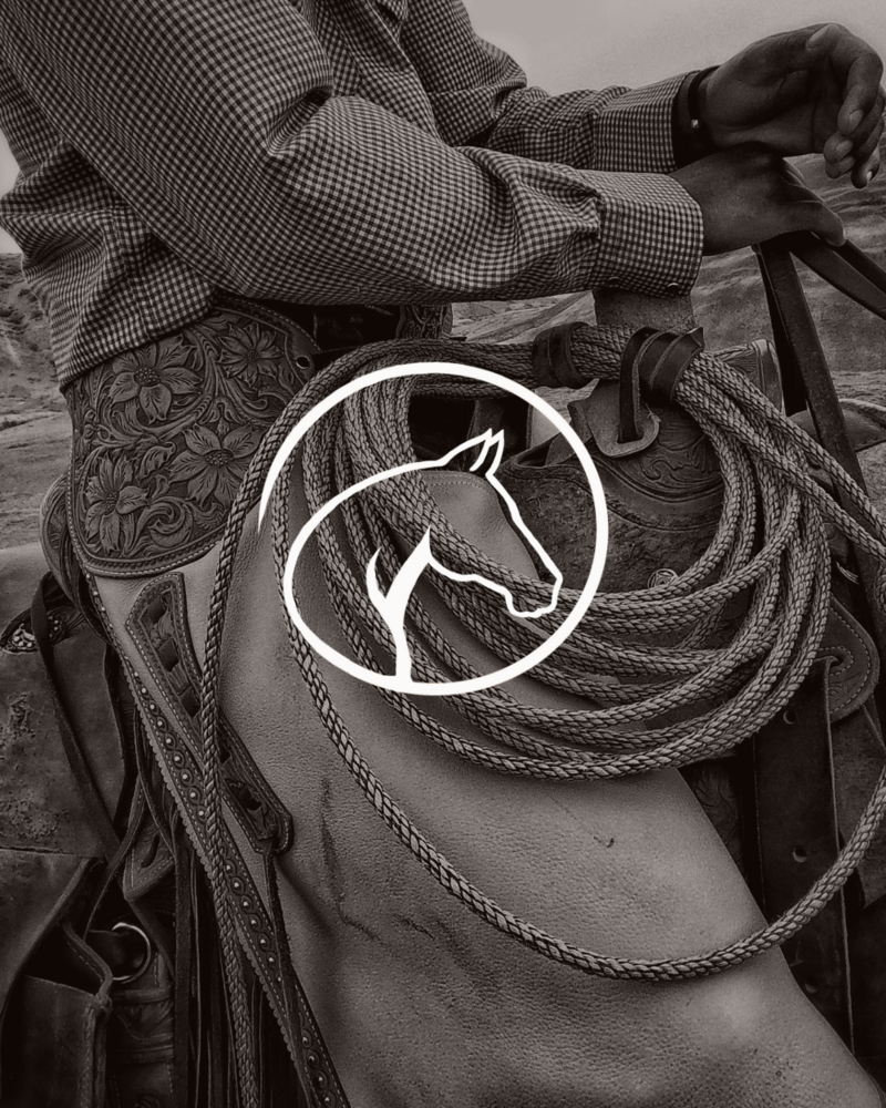 Ramon Castro Horsemanship