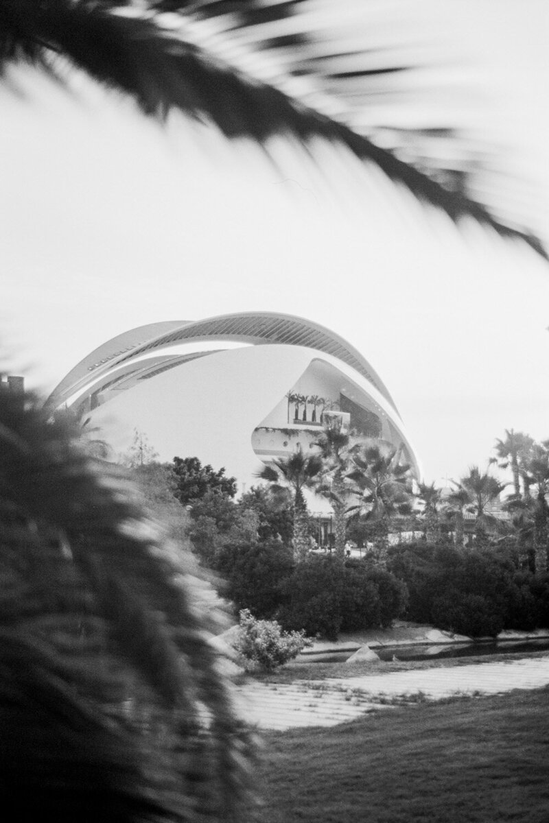 marriage-proposal-valencia-078