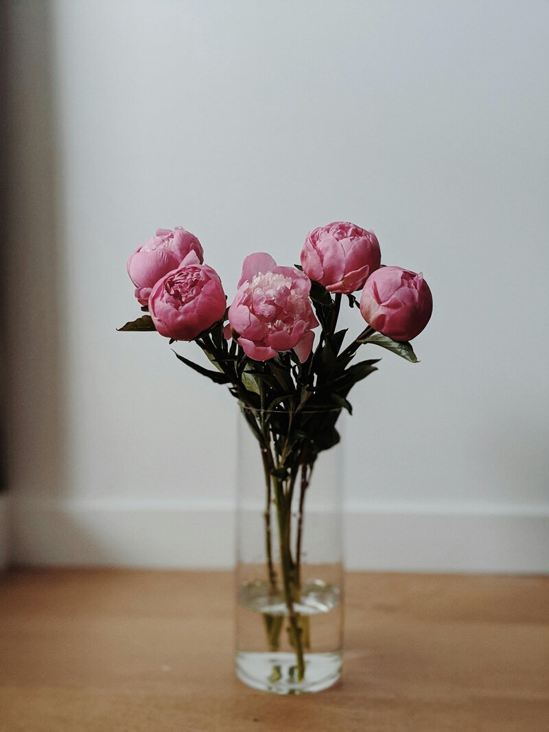 pexels-valeriiamiller-3392718