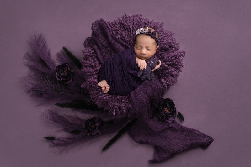 houston newborn baby infant photographer photography