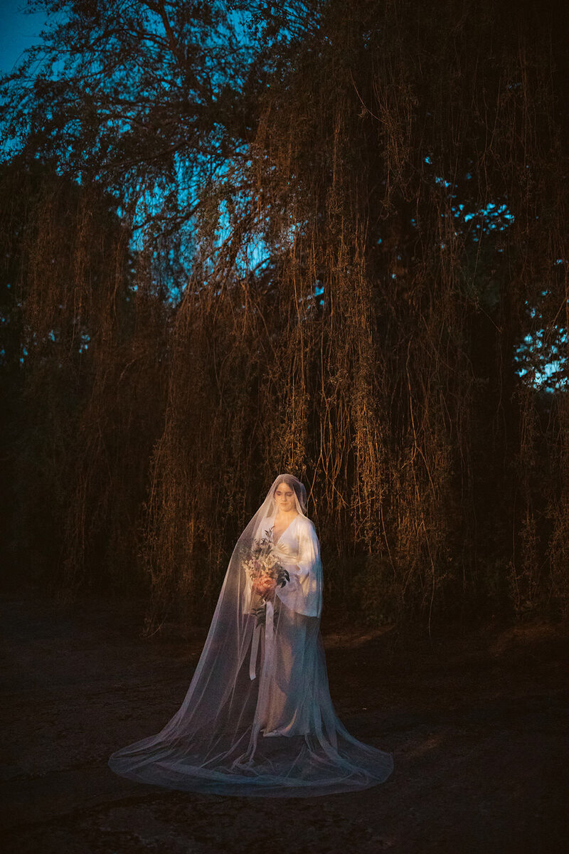 Bride standing beneath trees with a long flowing veil at dusk during her Maine wedding.