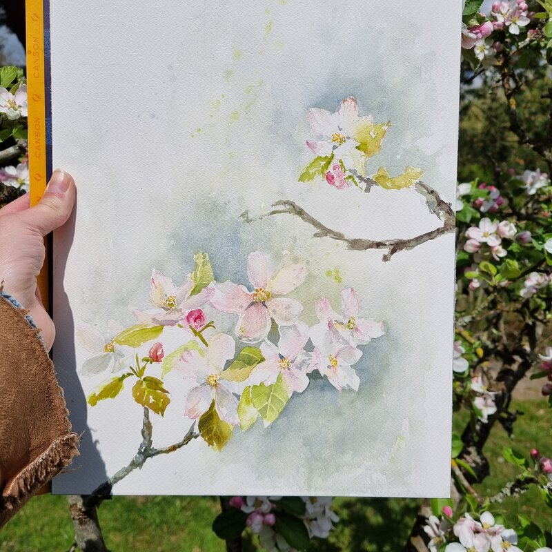 Loose watercolor hydrangeas by camilla Damsbo Art