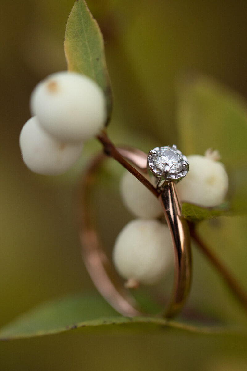 Blewett-Pass-Fall-Engagement-Teresa-Bicchieri-Photo-1