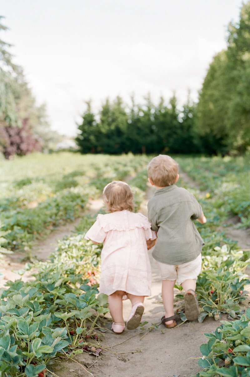 Hutchins Family - Strawberry Fields - Kerry Jeanne Photography (66 of 100)